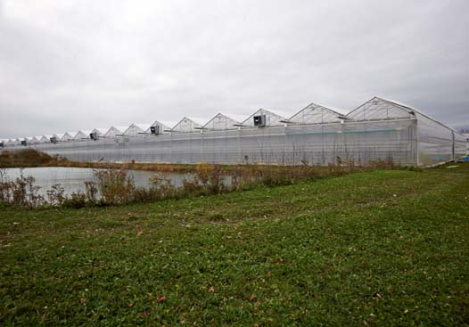 Photo of greenhouses